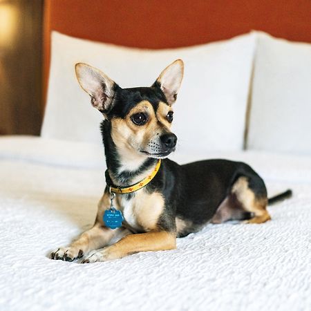 Hampton Inn Lexington South Экстерьер фото